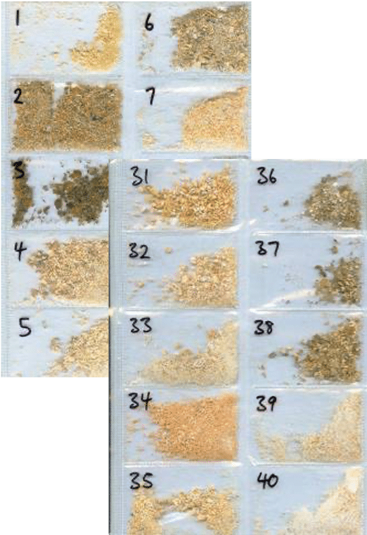 Timber Samples Showing Decay Levels for Property Managers