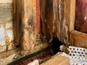 Photograph of decay that could be missed by a pre-purchase inspector