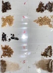 Decayed timber samples from Invasive Testing of a plaster clad house